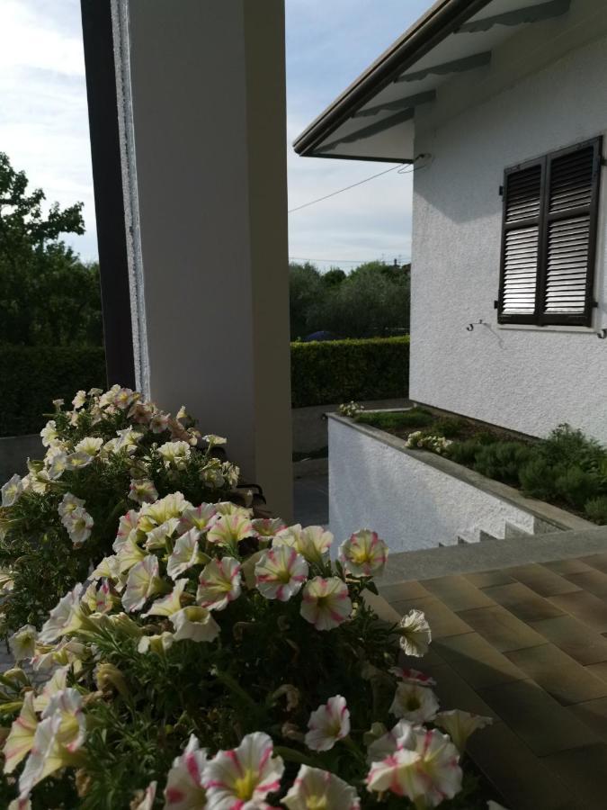 Villa Flora Affittacamere Luni Eksteriør billede